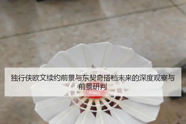 独行侠欧文续约前景与东契奇搭档未来的深度观察与前景研判