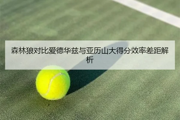 森林狼对比爱德华兹与亚历山大得分效率差距解析